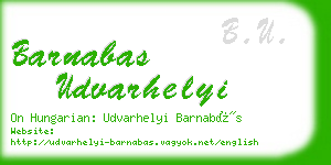 barnabas udvarhelyi business card